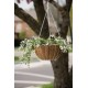 Panacea Powder Coated Grower's Hanging Basket